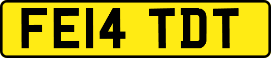 FE14TDT
