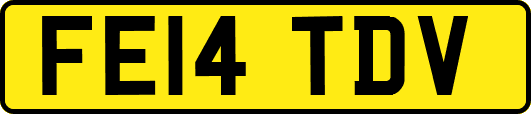 FE14TDV