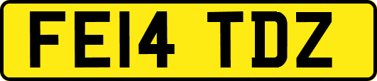 FE14TDZ
