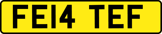 FE14TEF