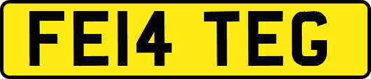 FE14TEG