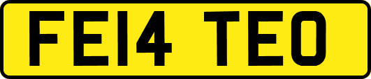 FE14TEO