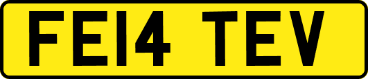 FE14TEV