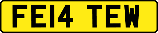 FE14TEW