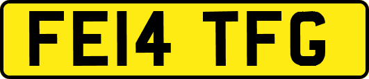 FE14TFG