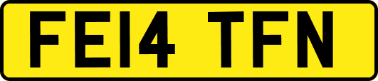 FE14TFN