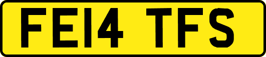 FE14TFS
