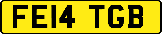 FE14TGB
