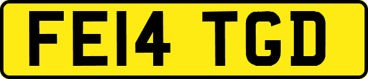 FE14TGD