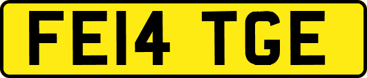 FE14TGE