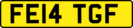 FE14TGF