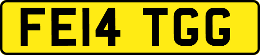FE14TGG