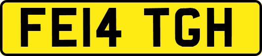 FE14TGH