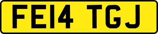 FE14TGJ