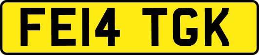 FE14TGK