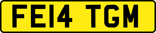 FE14TGM