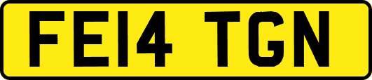 FE14TGN