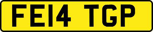 FE14TGP