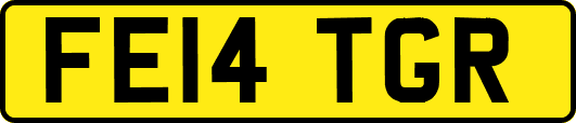 FE14TGR