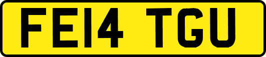 FE14TGU