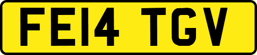 FE14TGV