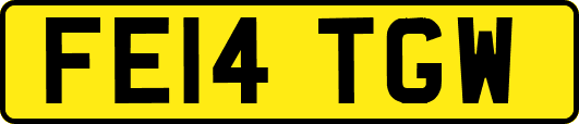 FE14TGW