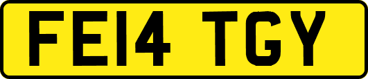 FE14TGY