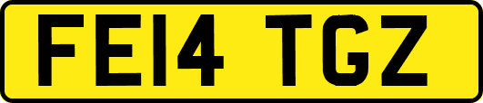 FE14TGZ