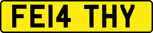 FE14THY