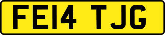 FE14TJG