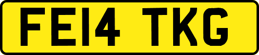 FE14TKG