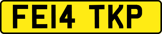 FE14TKP