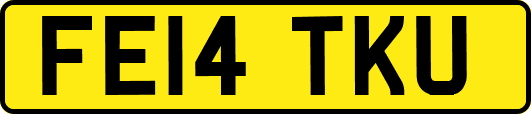 FE14TKU