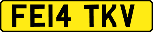FE14TKV