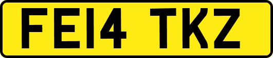 FE14TKZ
