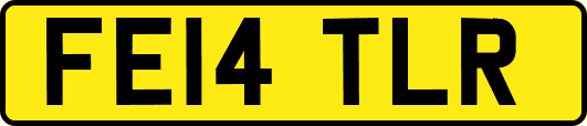 FE14TLR