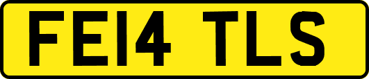 FE14TLS
