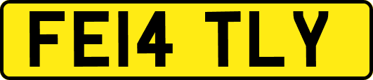 FE14TLY