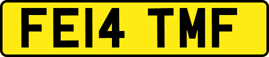 FE14TMF