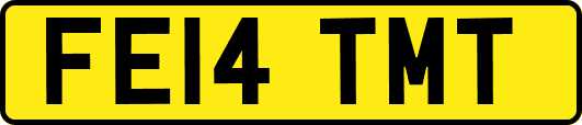 FE14TMT