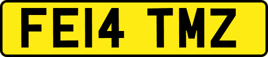 FE14TMZ