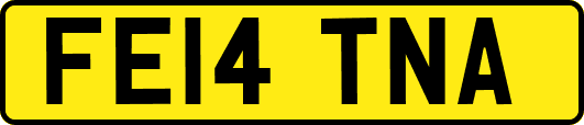 FE14TNA