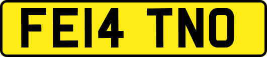 FE14TNO