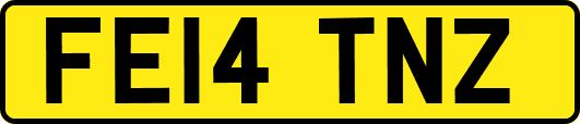 FE14TNZ