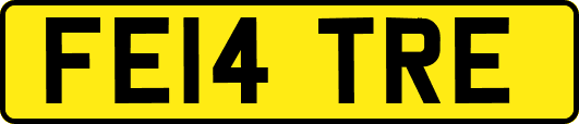 FE14TRE
