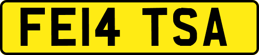FE14TSA