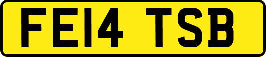 FE14TSB