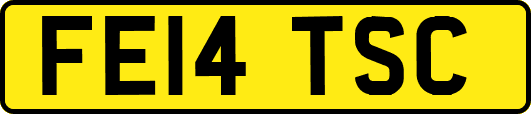 FE14TSC