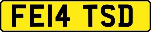 FE14TSD