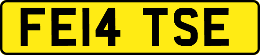 FE14TSE